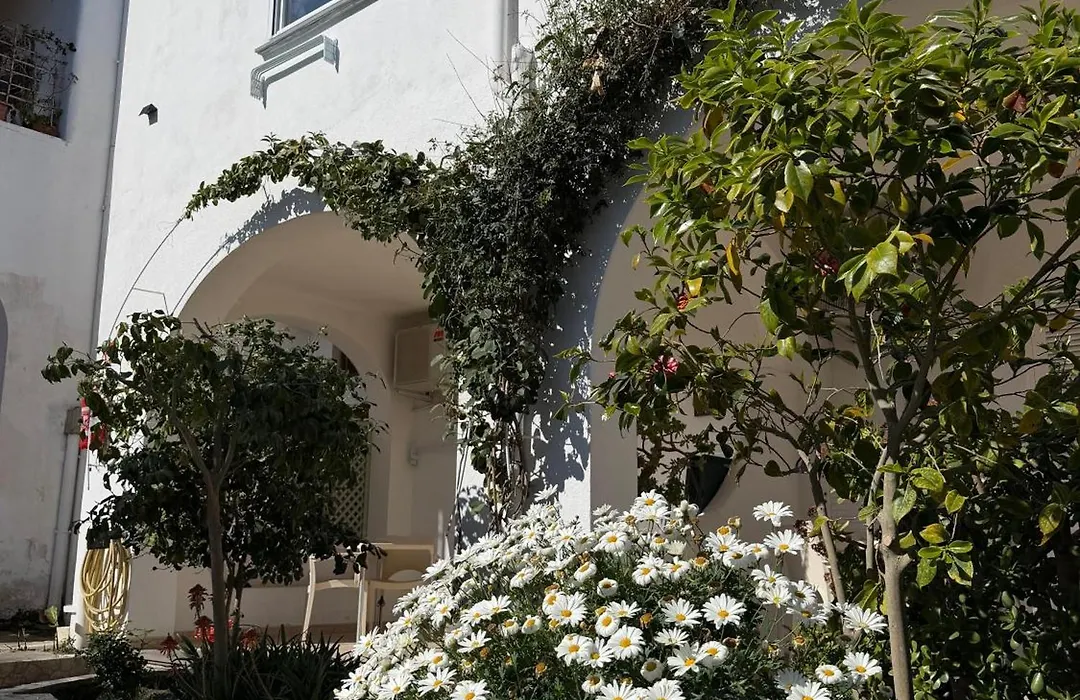 Hotel Residence Mendolita-1