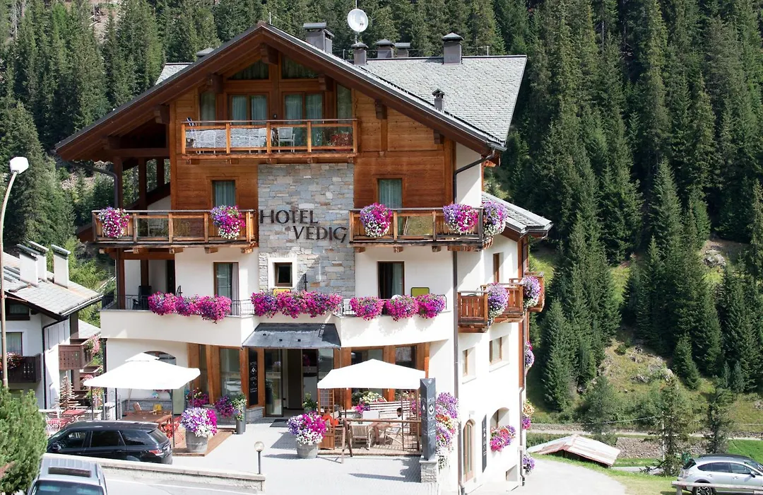 Hotel Vedig-1