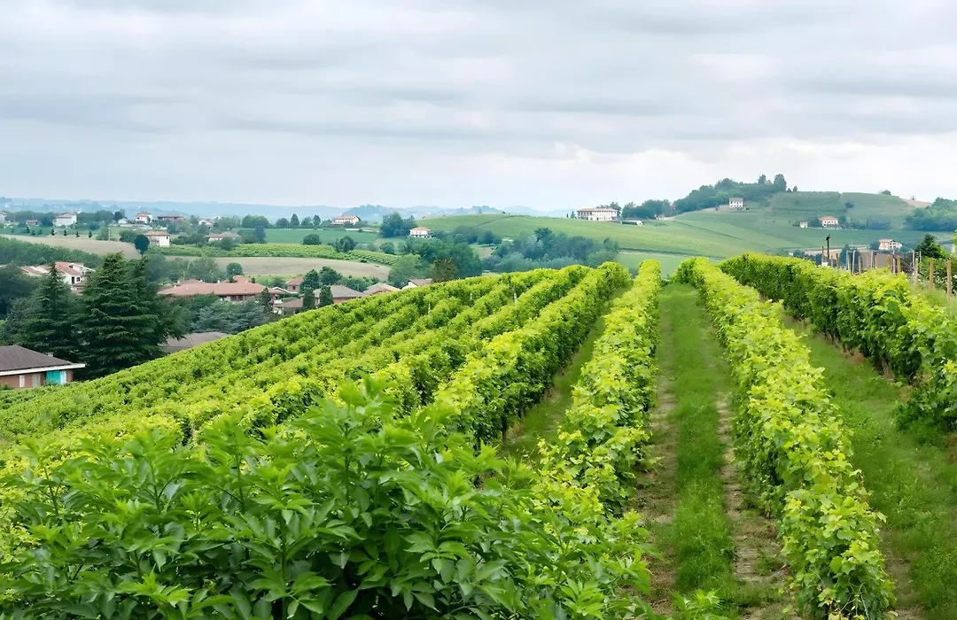Cascina Orlandi-1