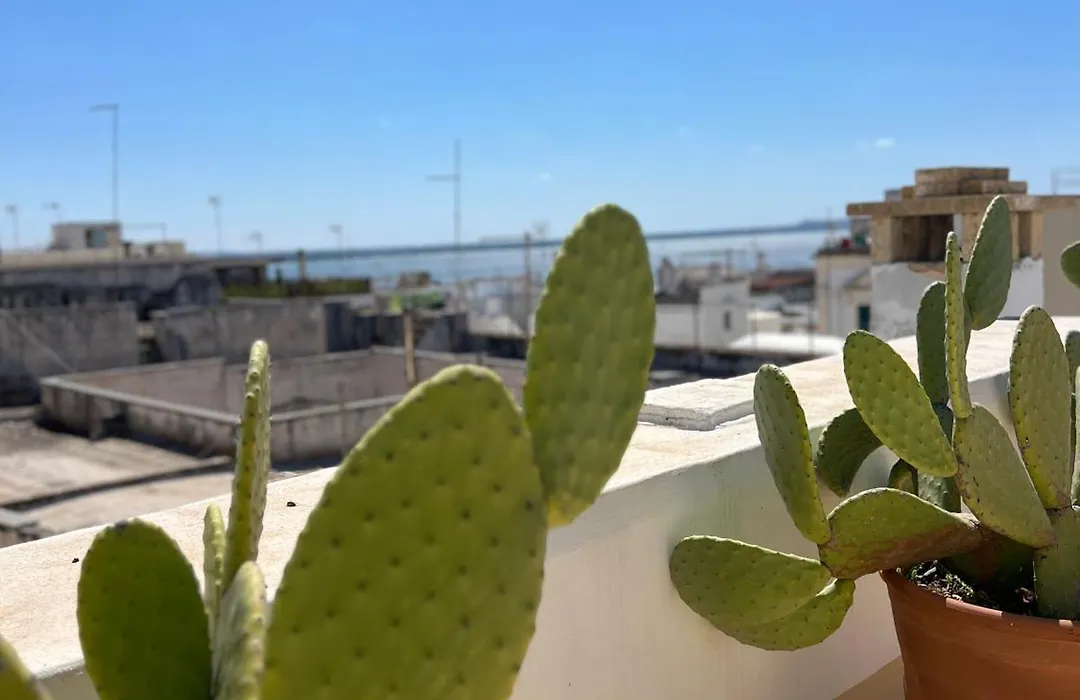 B&B Dimora San Vincenzo-1