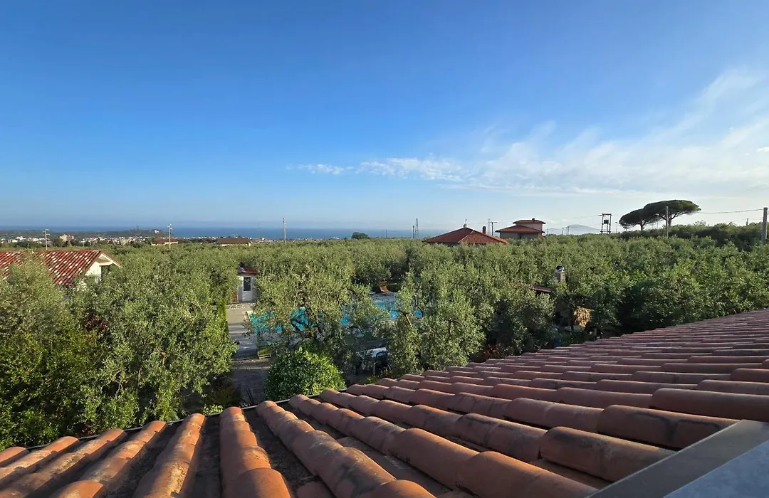 Il Finto Pepe B&B-1