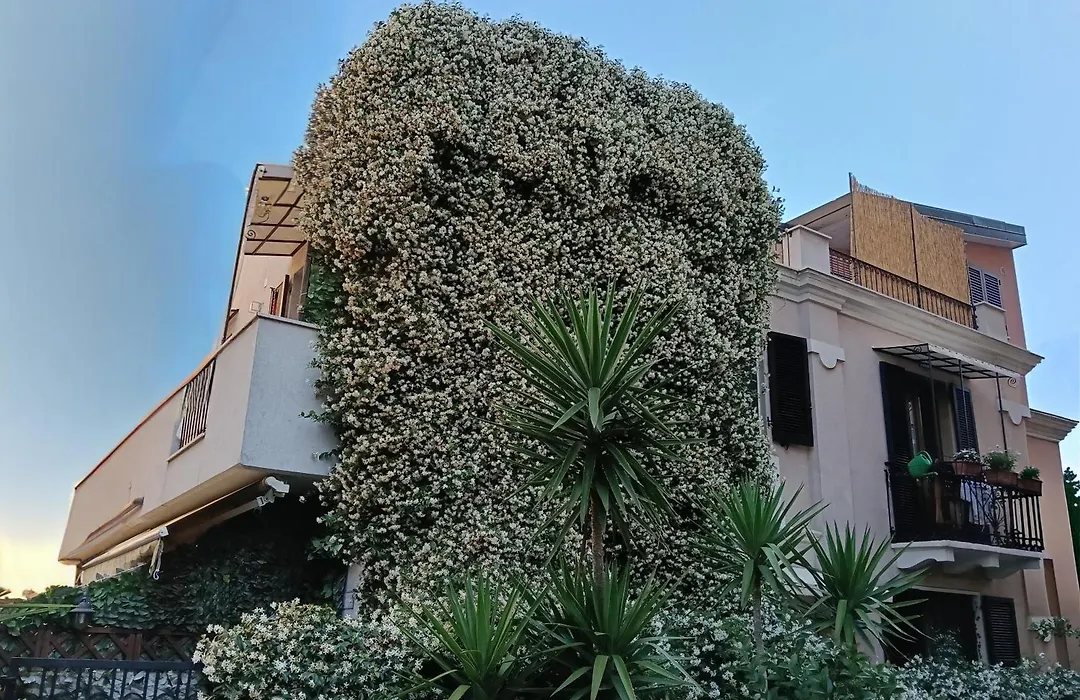 B&B San Francesco Pescara Centro-1