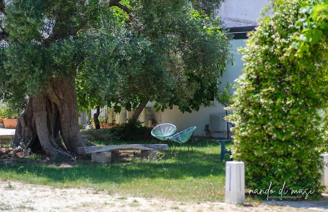 Masseria Giangrande - Rooms And Apartment-1