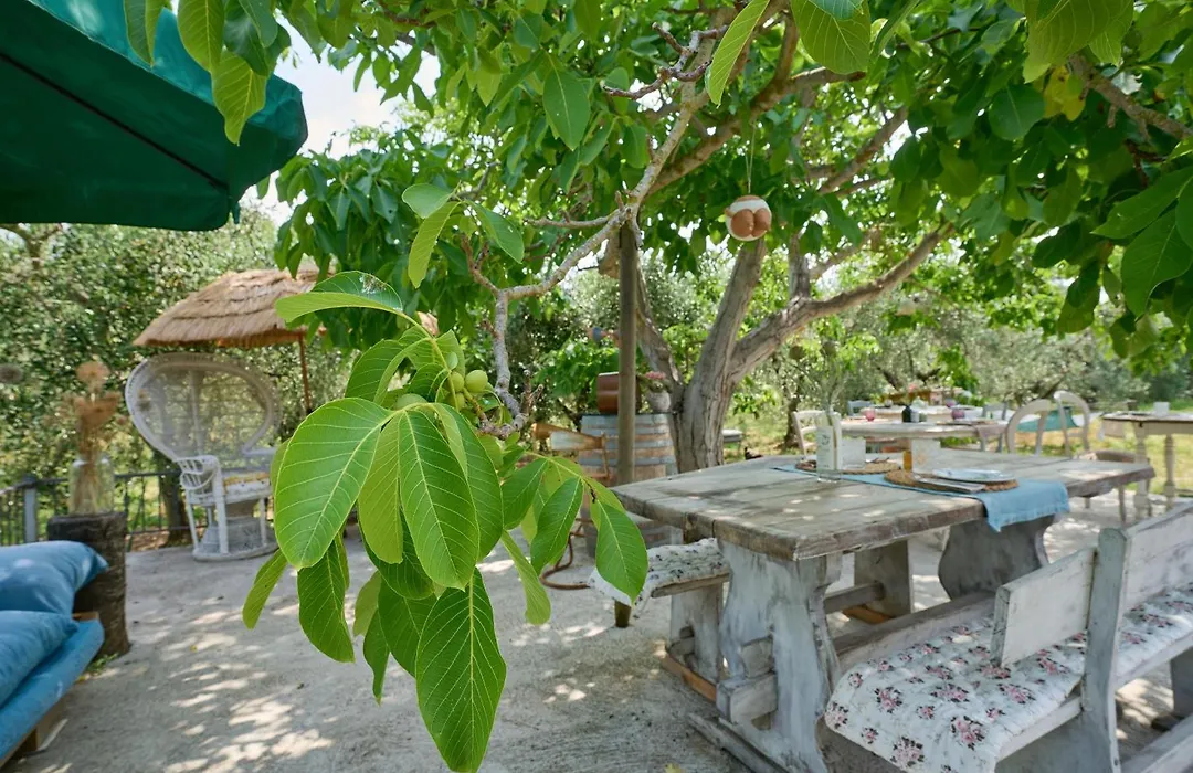 OlioeAlloro B&B-1