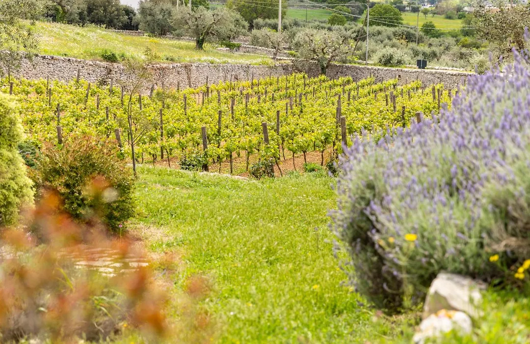 Masseria Serralta-1