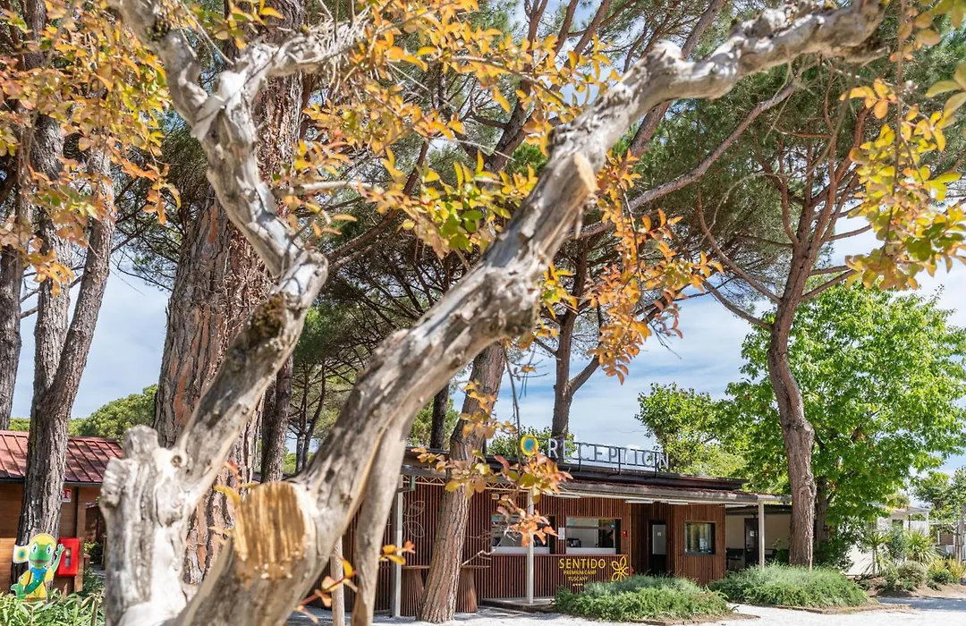 Italia Family Camping Village Viareggio-1