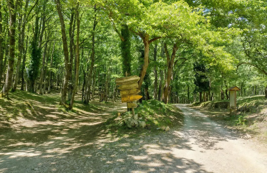 Casa Natura Gargano-1