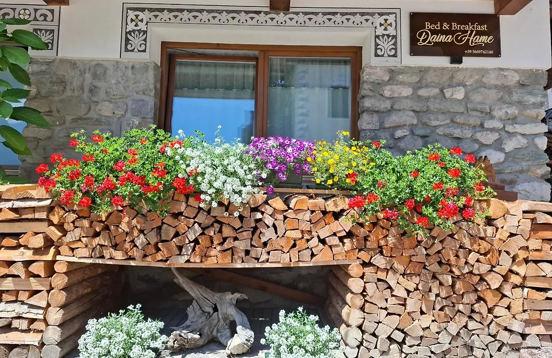 B&B Daina Hame-1