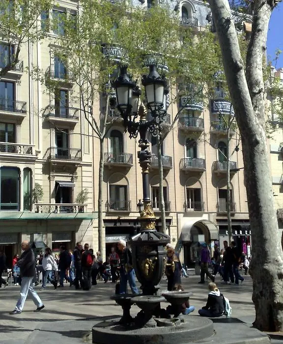 Hostal Capitol Ramblas-1