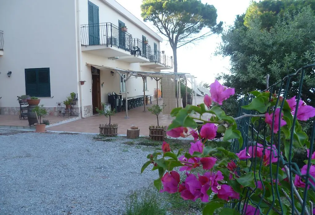 Alba Tra I Pini B&B-1