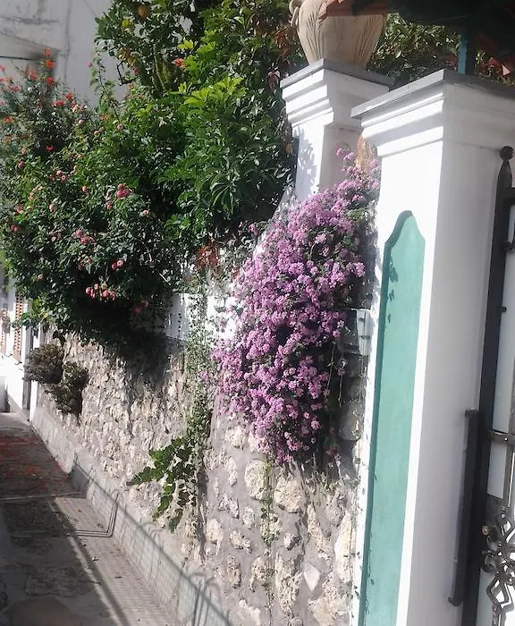 B&B Angelide-1