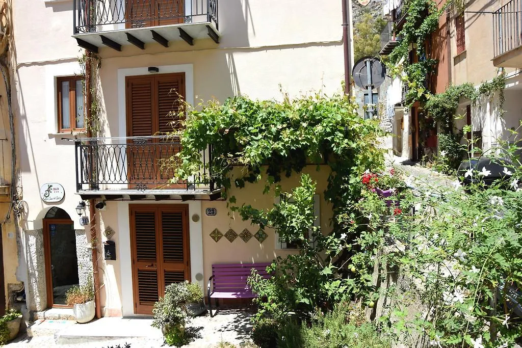 La Casa del Geko-1