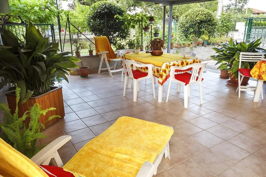 Colibri B&B-1