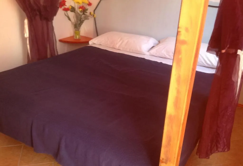 Blue Bab B&B-1