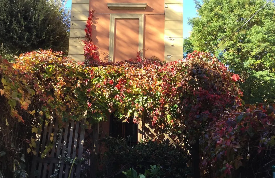 B&B La Castagnina-1