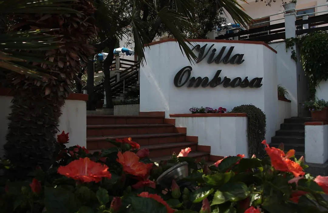 Hotel Villa Ombrosa-1