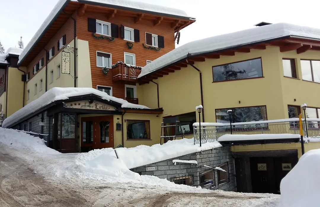 Hotel Erika-1