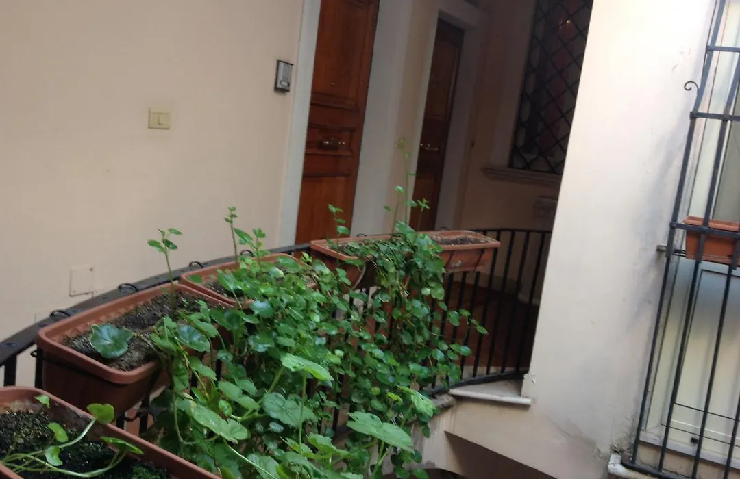 Bed&Breakfast Federico II-1