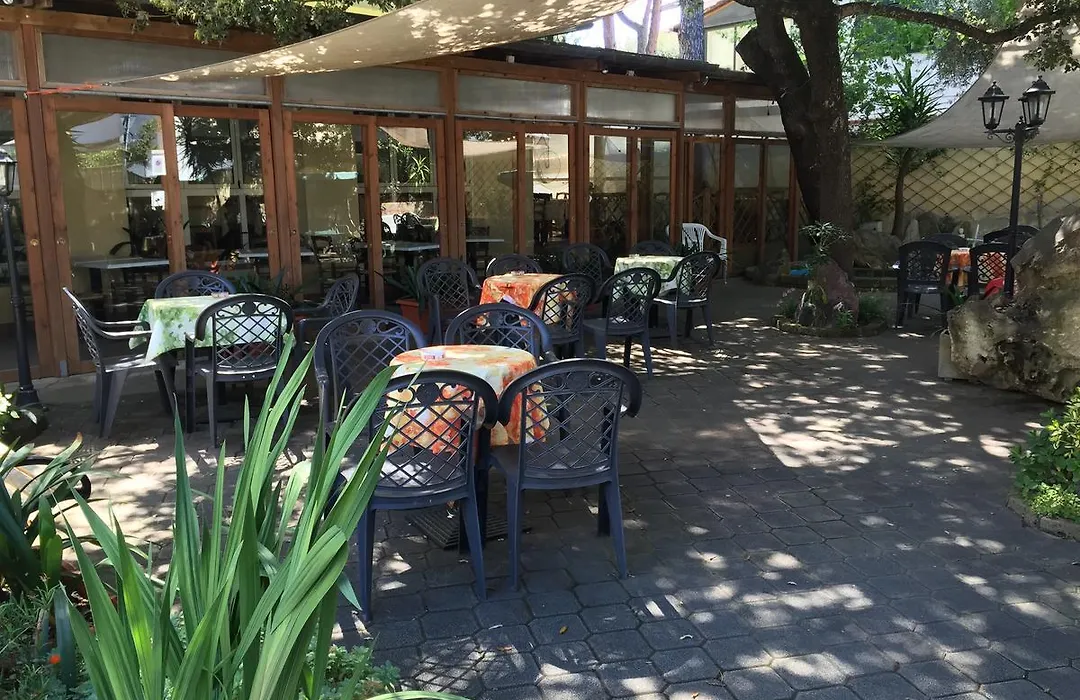 Hotel Il Pino-1