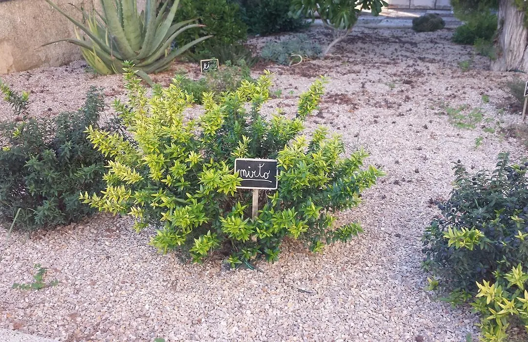 Biblos E Mare-1