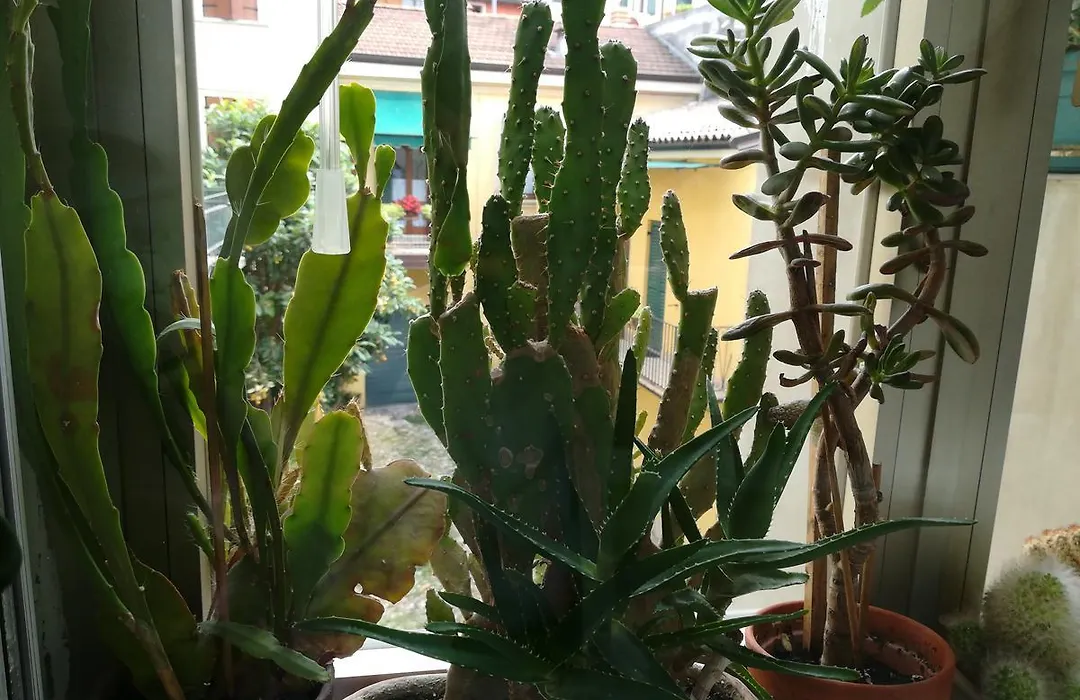 A casa di Luca-1