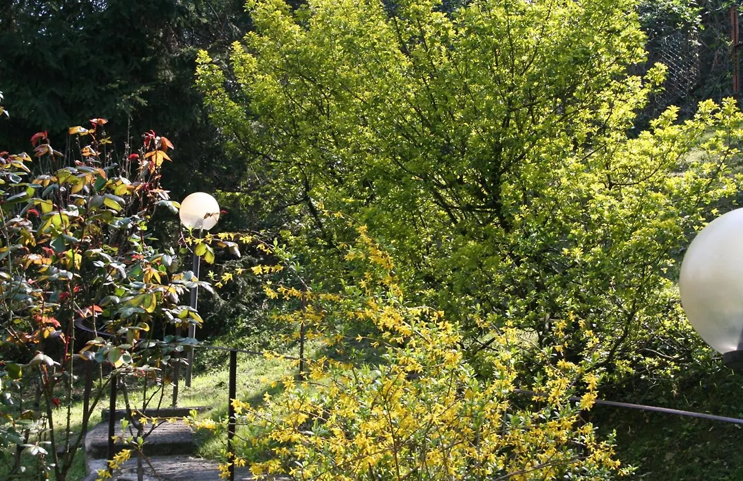 B&B I Ghiri-1