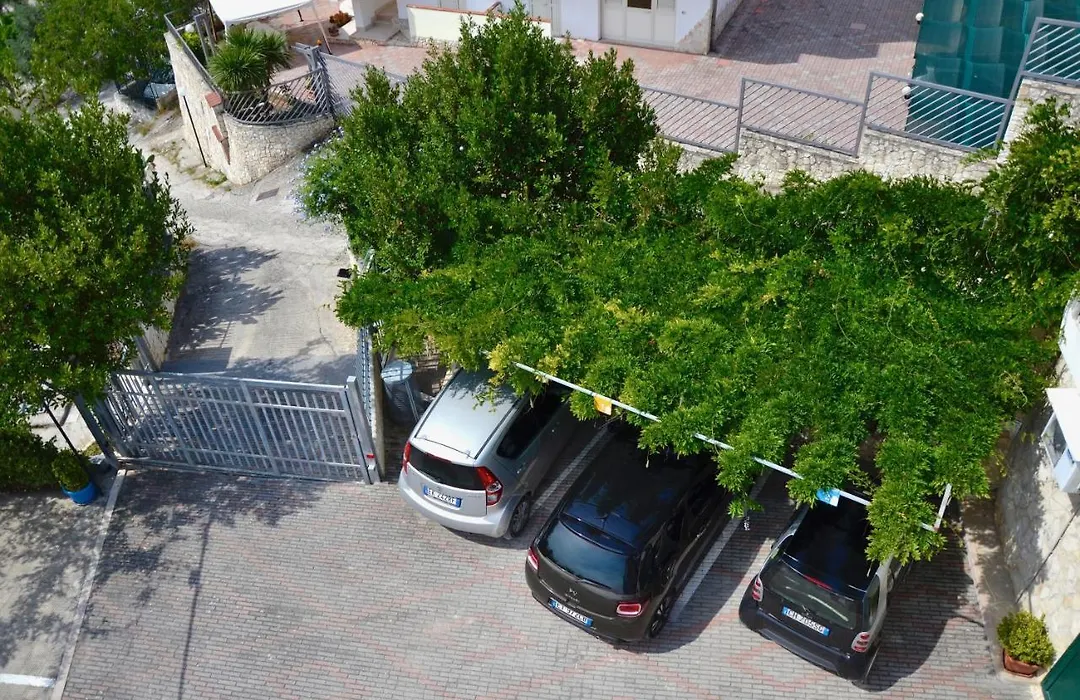 B&B Il Giardino Stellato-1