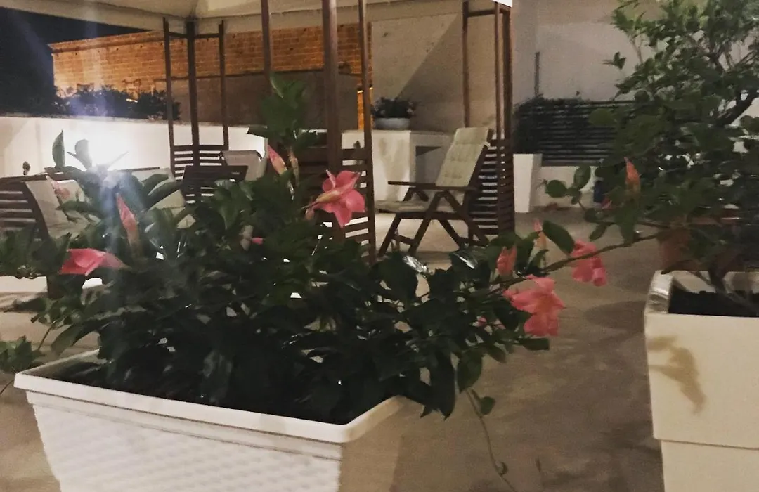 Sine Tempore B&B-1