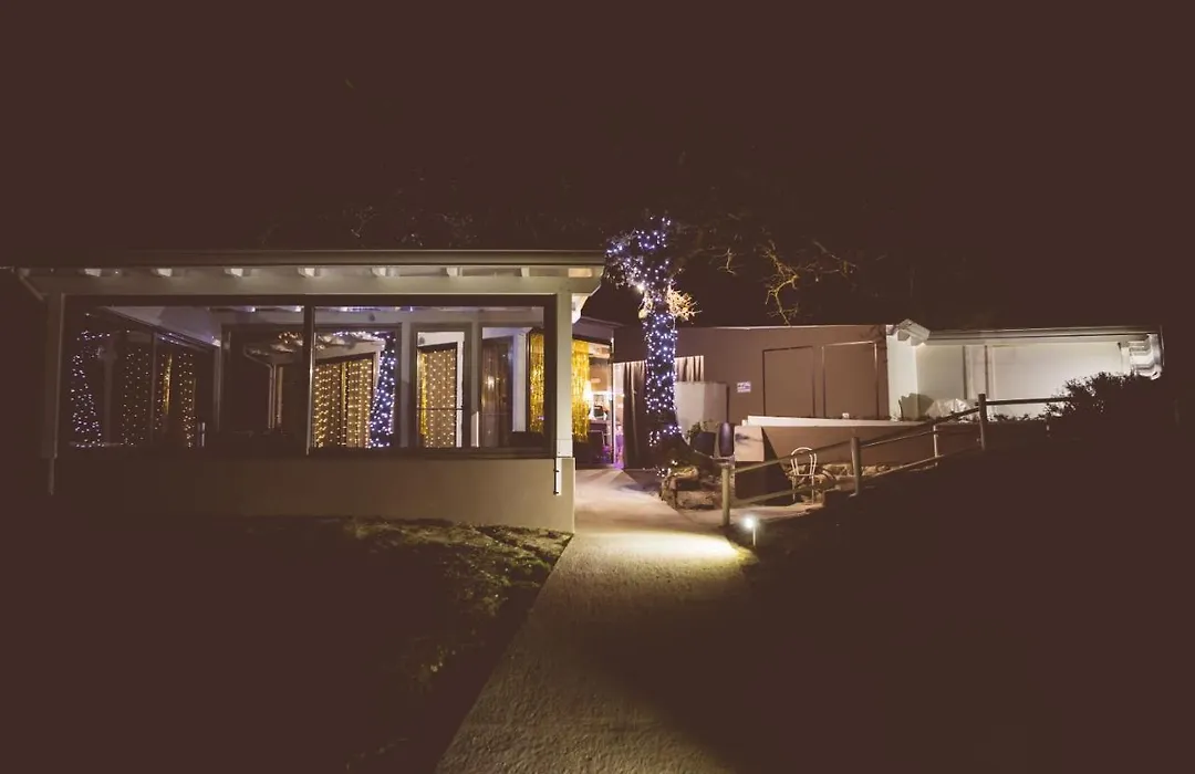 Fontepino-1
