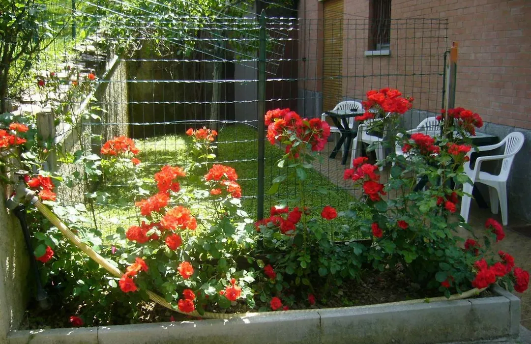 Le Gardenie Da Fil-1