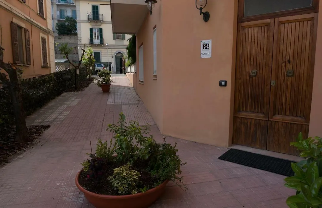 Il Viale-1