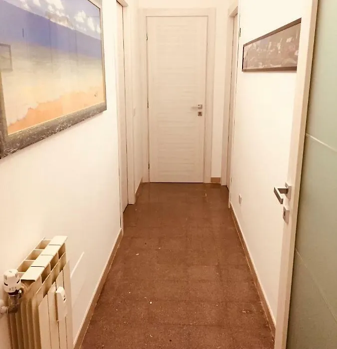 B&B Birba-1