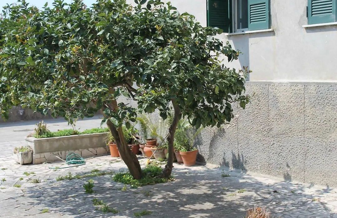 B&B Paura-1