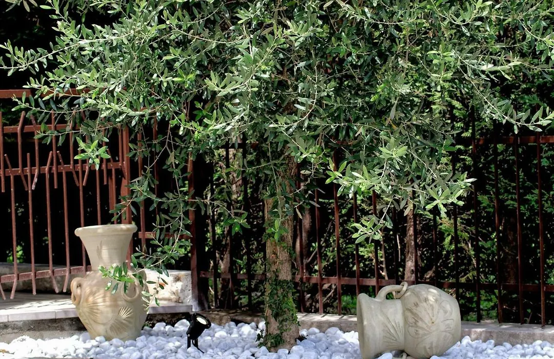 La Casa dei Nonni sul Garda-1