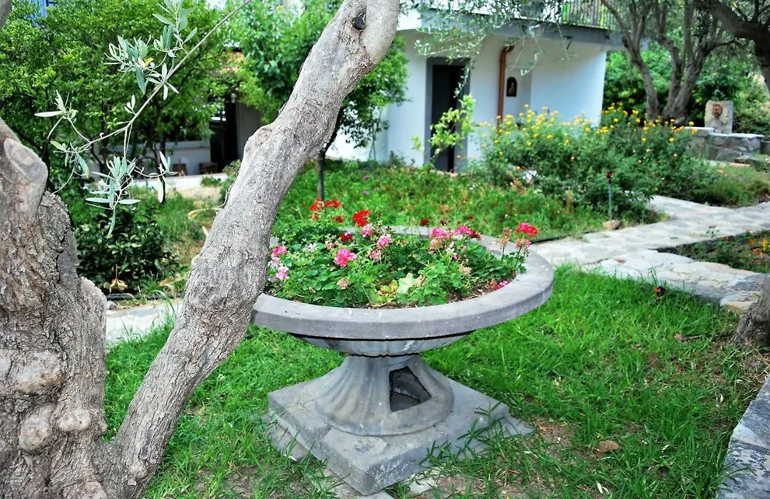 B&B Terre Di Sicilia-1