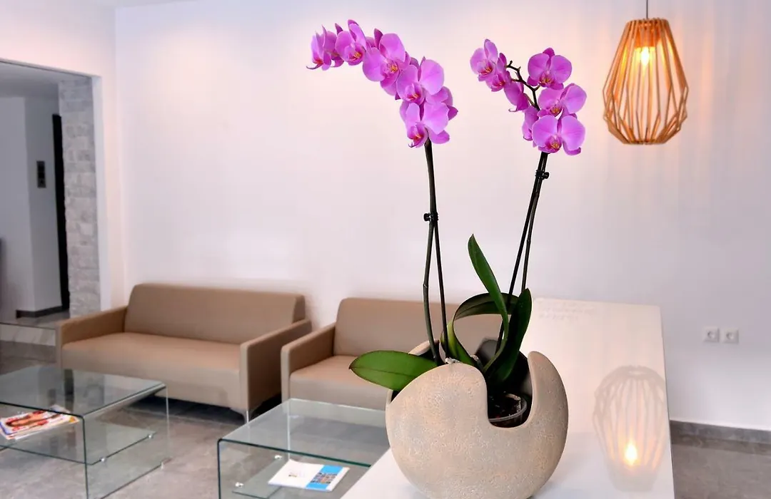 Island Dreams Rooms & Suites-1