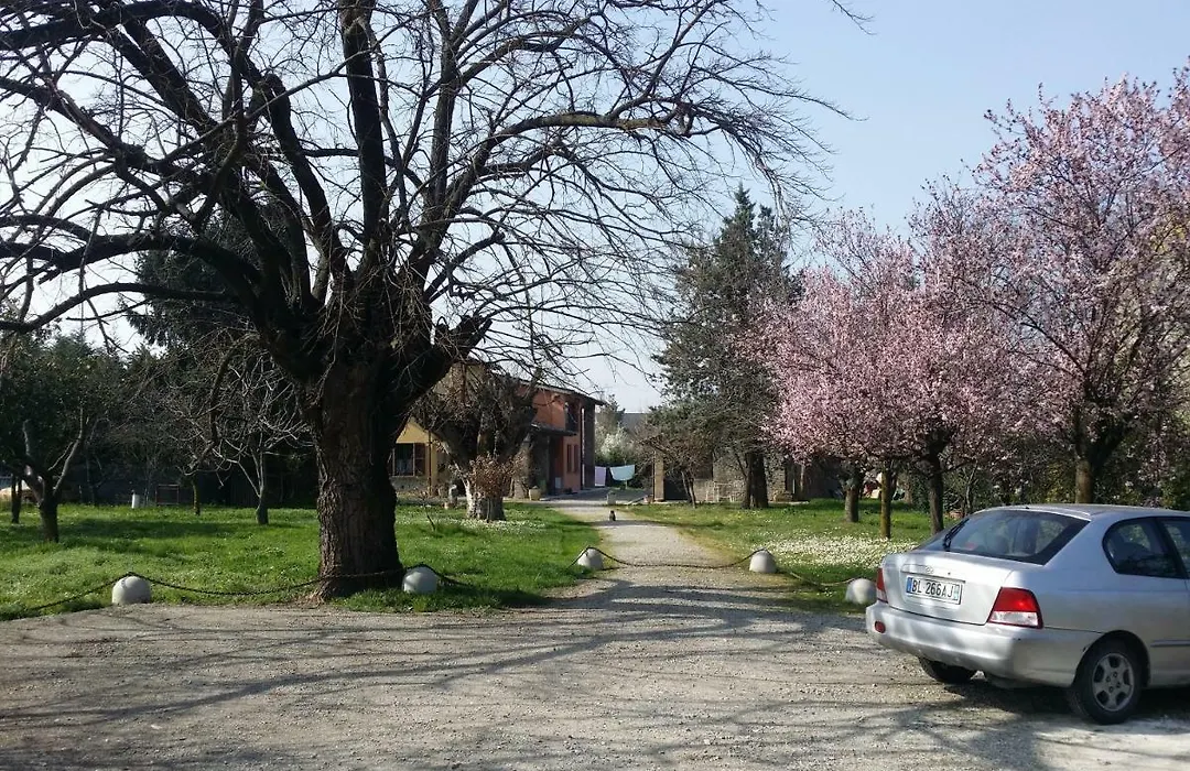 R&B Albero Cavo Parma-1