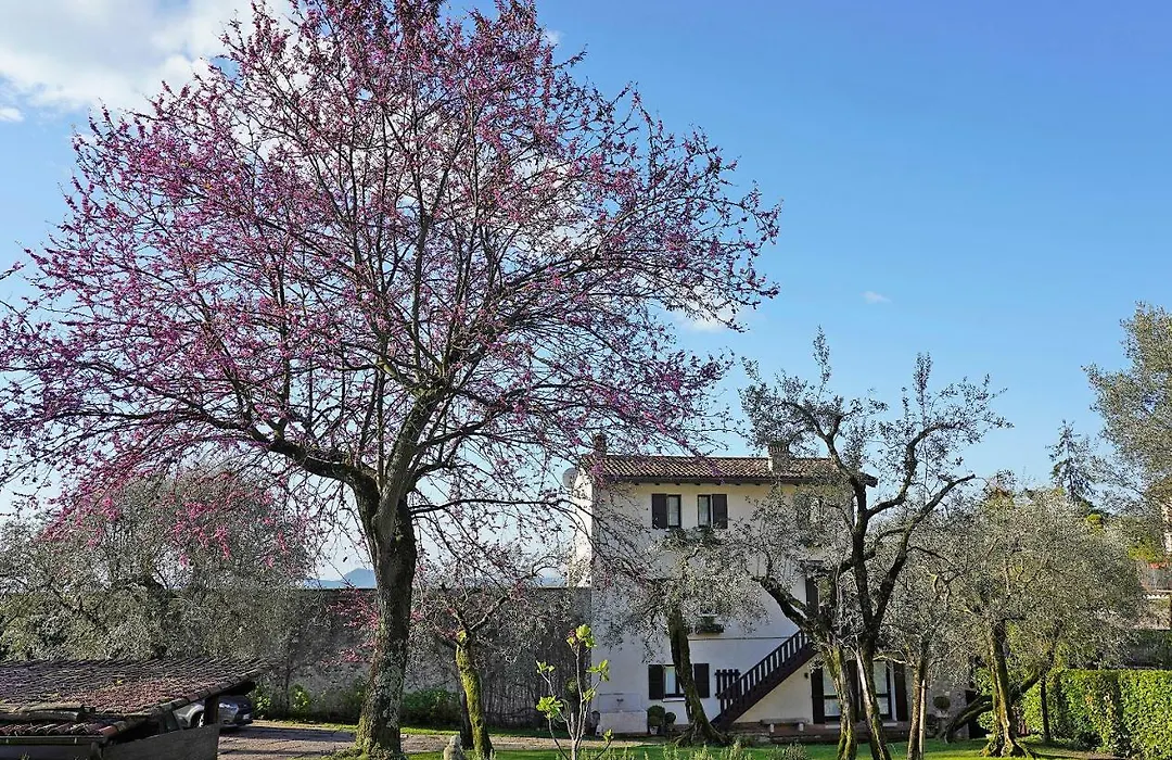 Il Chiostrino-1