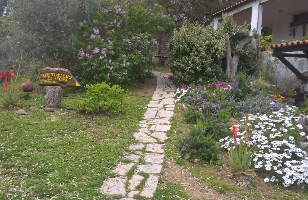 Agriturismo La Vigna-1