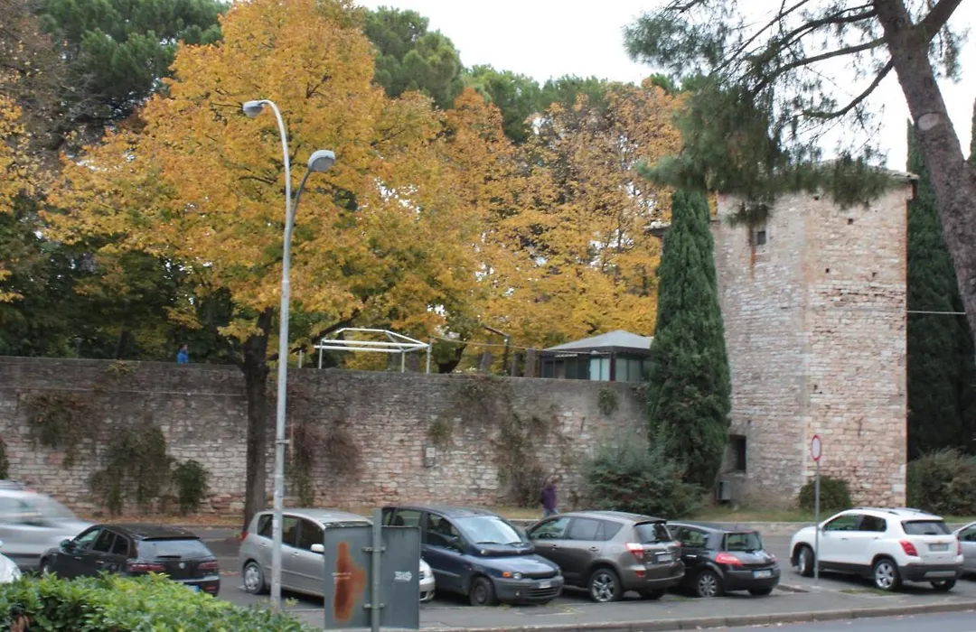 Affittacamere Parco dei Canapè-1