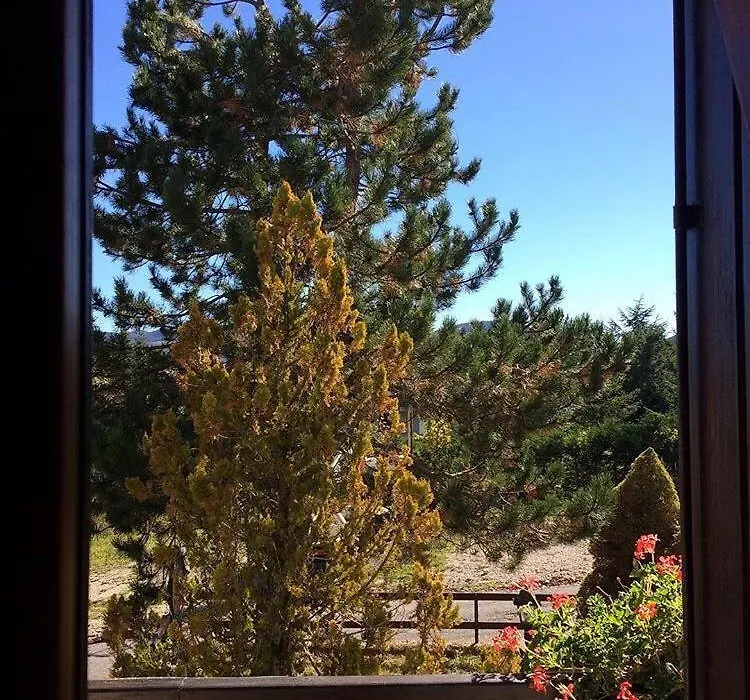 B&B Il Pino-1