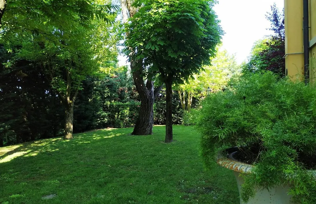 B&B Villa delle palme-1