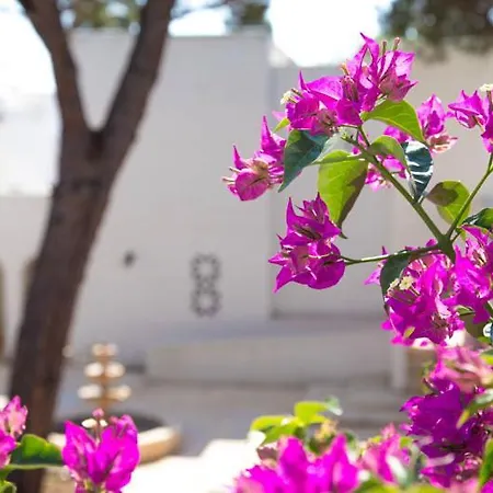Araba Fenice Village-3