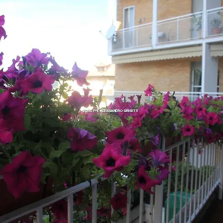 B&B Paradisett-2