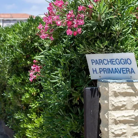 Hotel Primavera sul mare-2