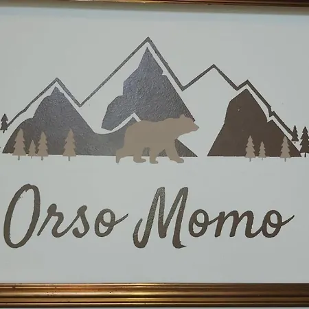 Orso Momo-2
