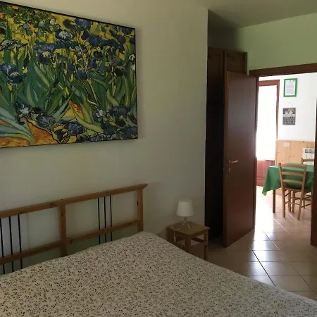 Vecchio olmo-3