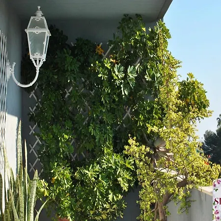 Bed And Breakfast Silvana-2