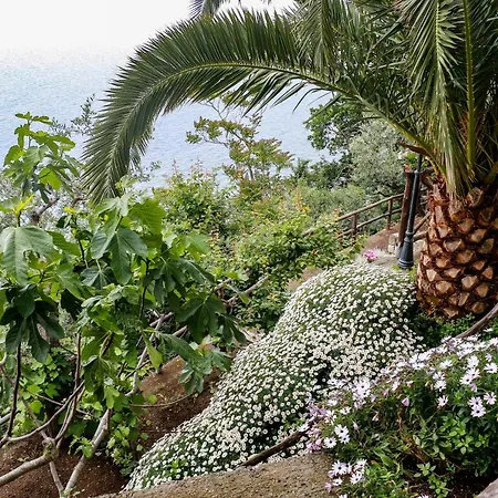 La Palombara B&B-3