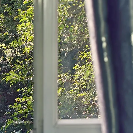 L'Antenna-2